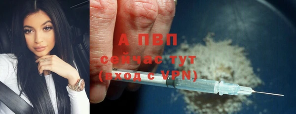 ПСИЛОЦИБИНОВЫЕ ГРИБЫ Волоколамск