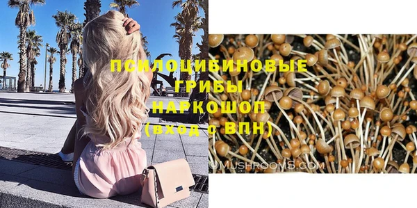 бошки Волосово