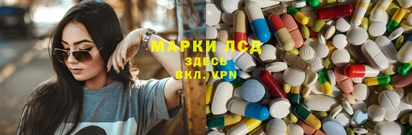 стаф Кострома