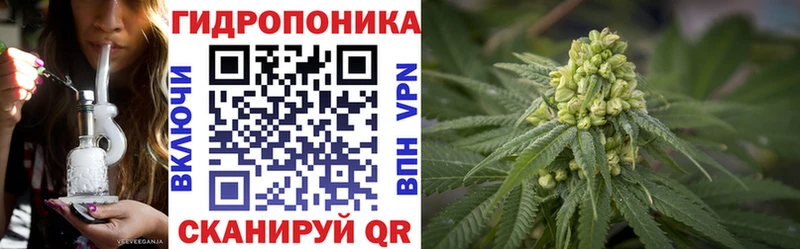 Канабис план  Купить закладки  Светлоград 